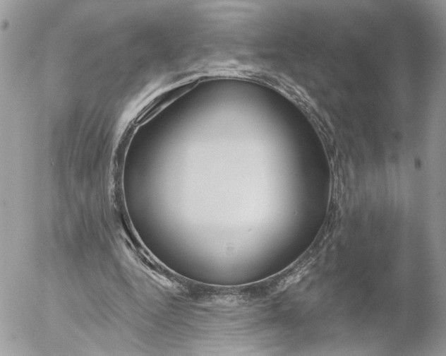 X0000052540344200507221431