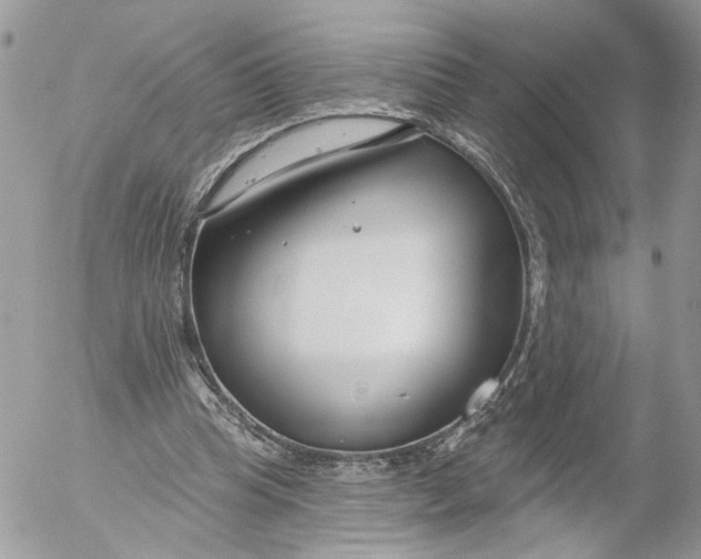 X0000052540345200507221431