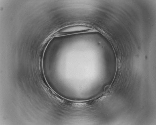 X0000052540347200507221431