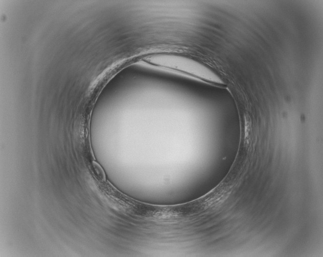 X0000052540348200507221431