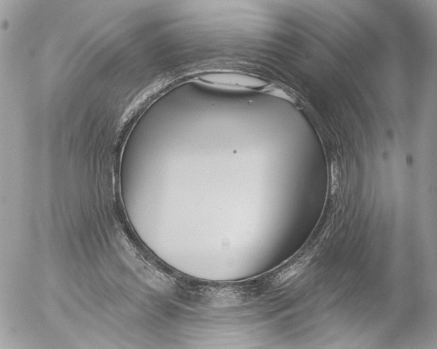 X0000052540349200507221431