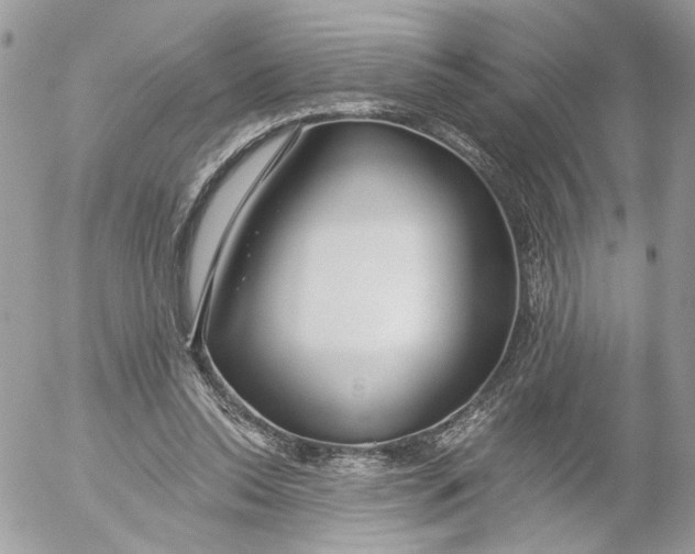 X0000052540350200507221431