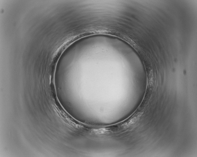 X0000052540351200507221431