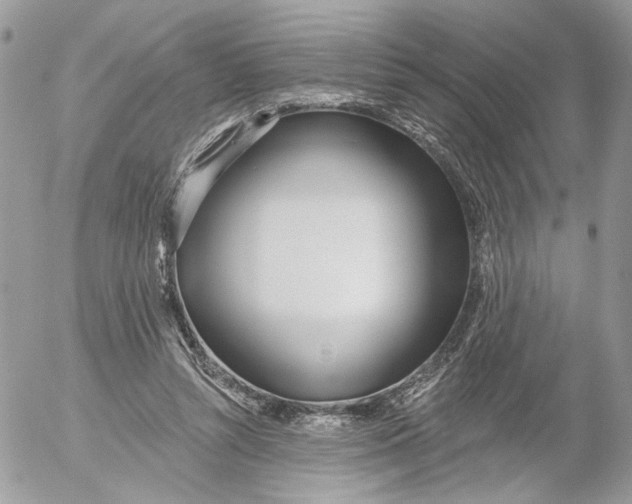 X0000052540352200507221431