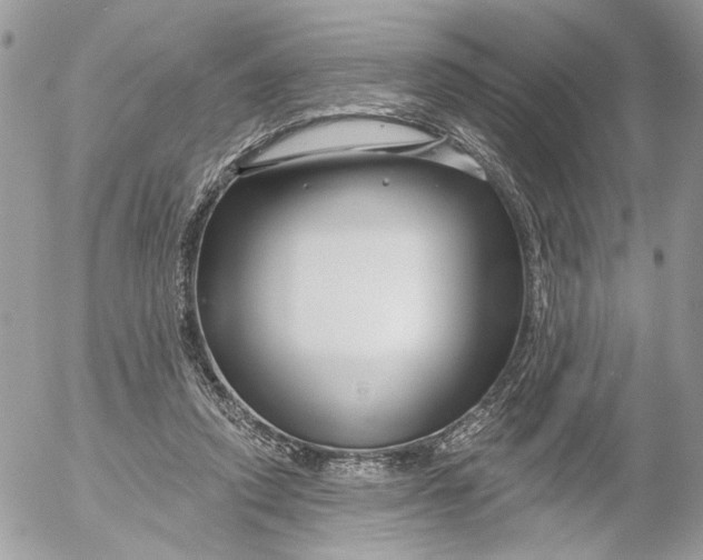 X0000052540354200507221431