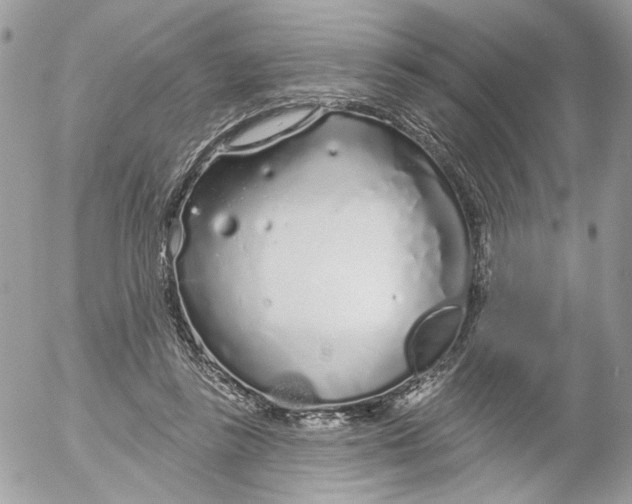 X0000052540355200507221431