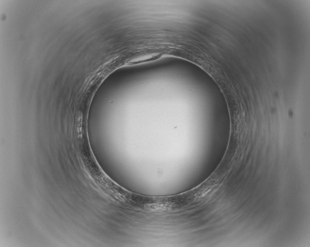 X0000052540356200507221431