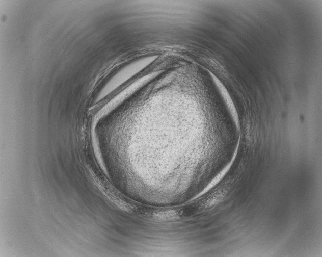 X0000052540357200507221431