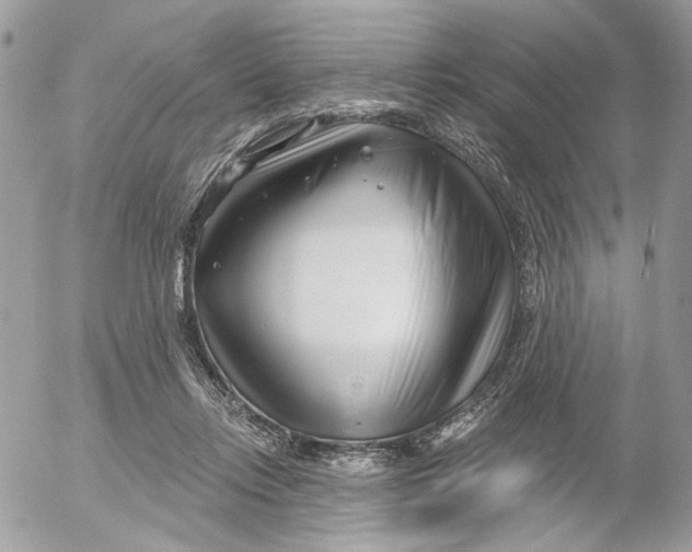 X0000052540358200507221431