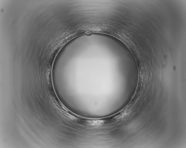 X0000052540359200507221431