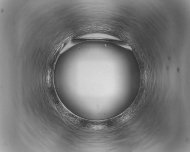 X0000052540360200507221431