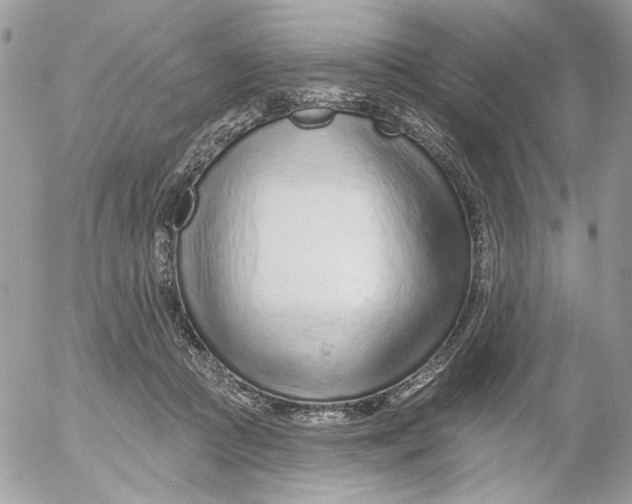 X0000052540361200507221431