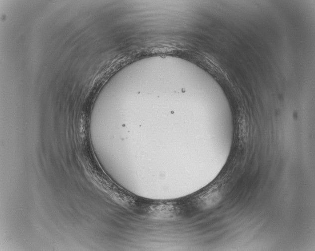 X0000052540362200507221431