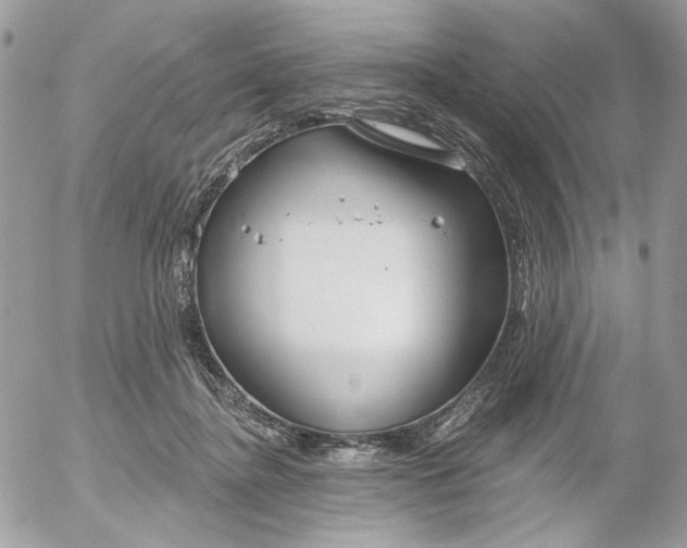 X0000052540364200507221431