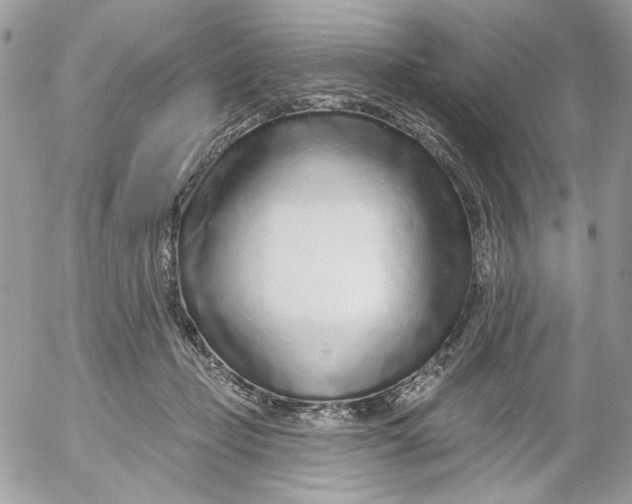 X0000052540365200507221431