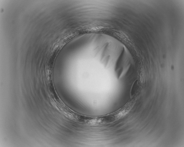 X0000052540366200507221432