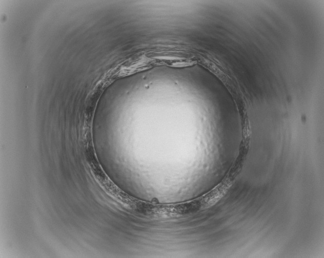 X0000052540367200507221432