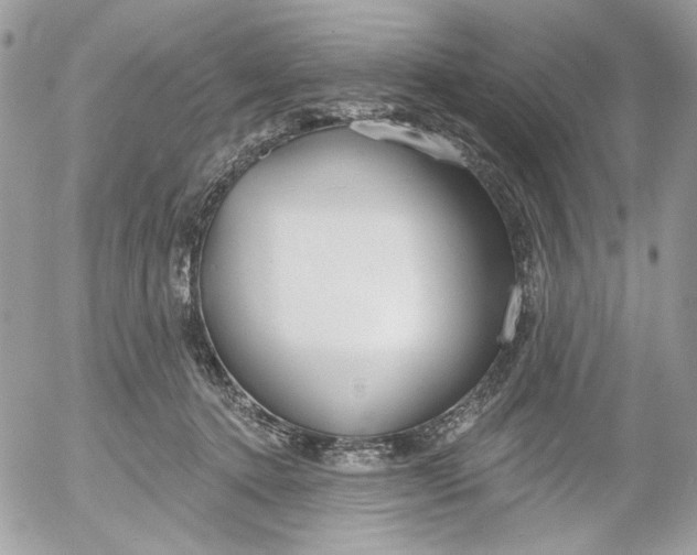 X0000052540368200507221432