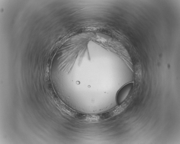 X0000052540369200507221432