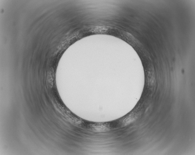 X0000052540370200507221432