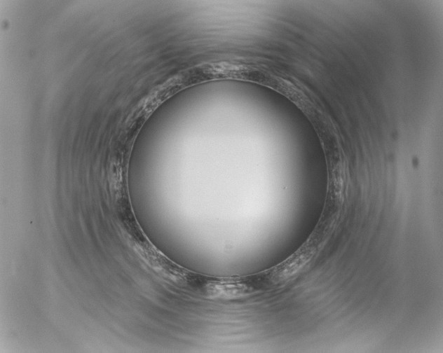 X0000052540372200507221432