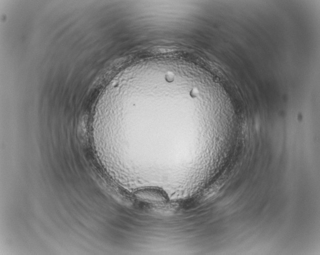 X0000052540373200507221432