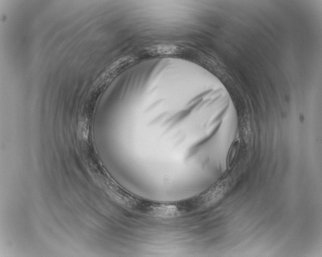 X0000052540374200507221432