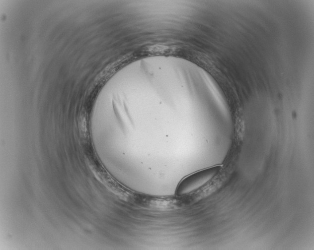 X0000052540375200507221432