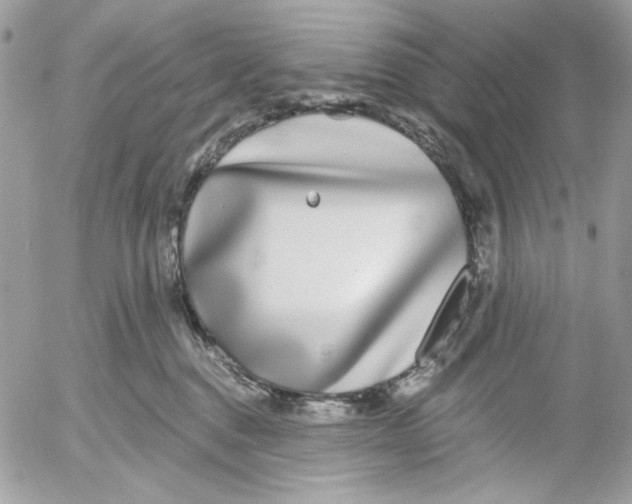 X0000052540376200507221432