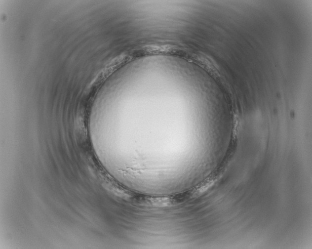 X0000052540377200507221432