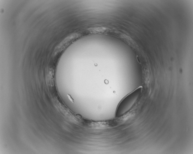 X0000052540378200507221432