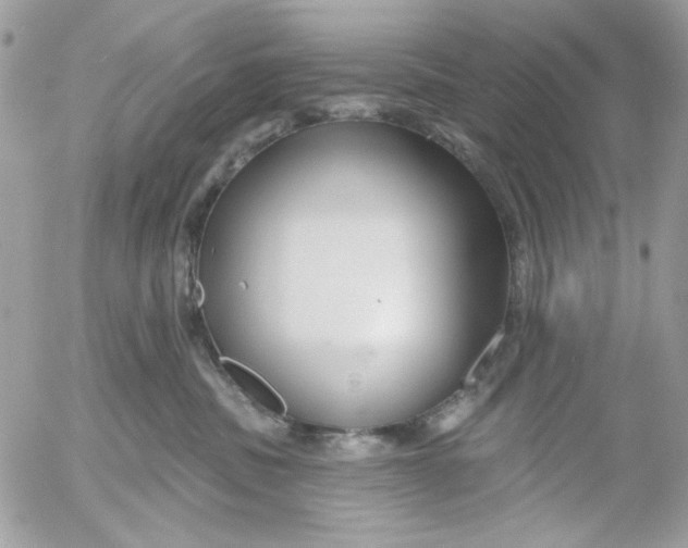 X0000052540379200507221432