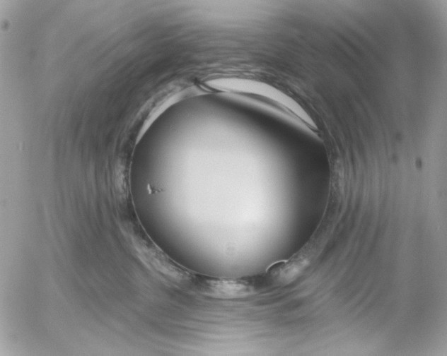 X0000052540380200507221432