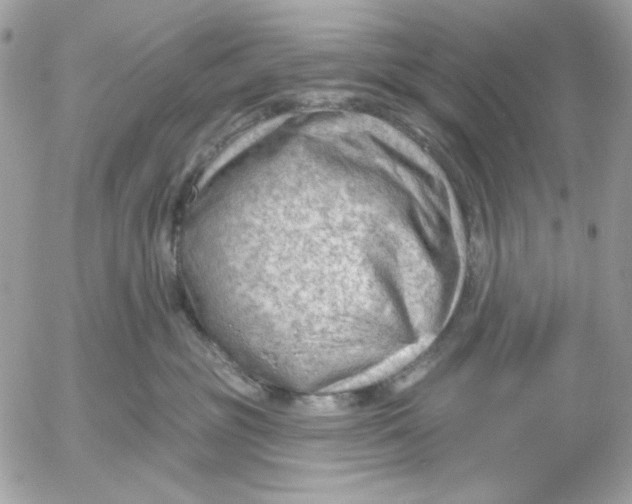 X0000052540381200507221432