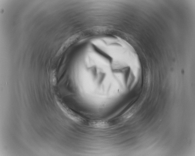 X0000052540383200507221432