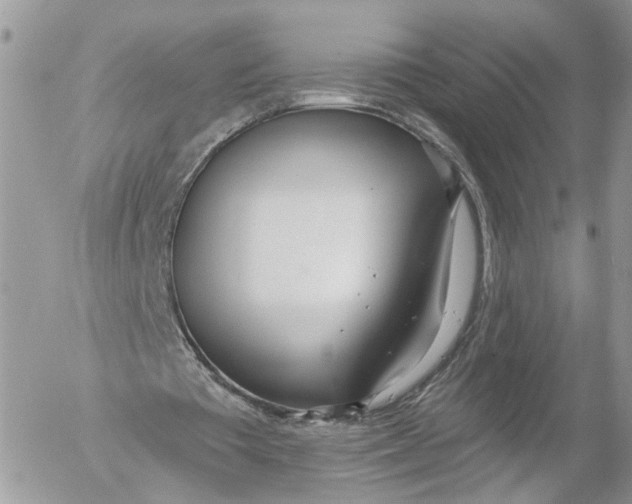 X0000052540385200507221431