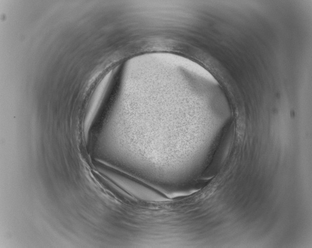 X0000052540386200507221431