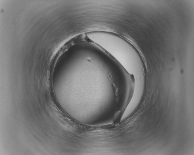 X0000052540387200507221431