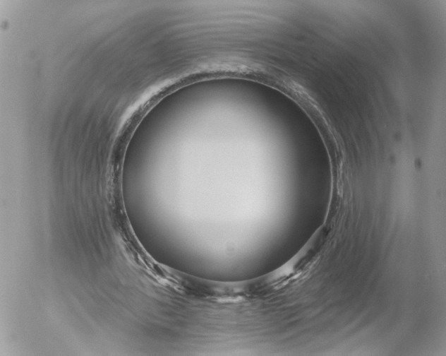 X0000052540388200507221431