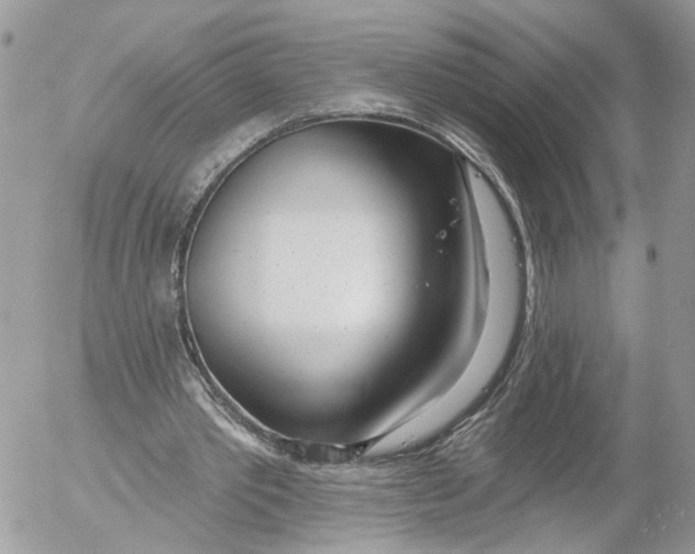 X0000052540389200507221431