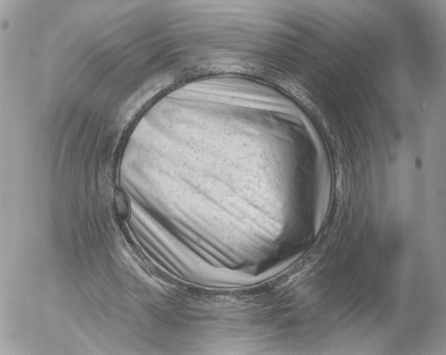 X0000052540390200507221431