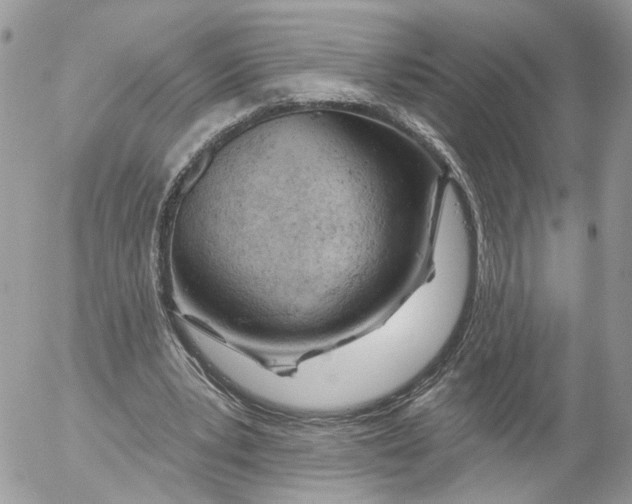 X0000052540391200507221431