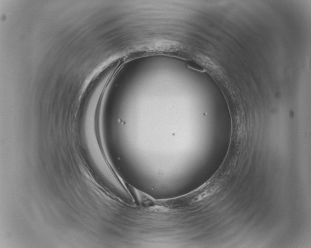 X0000052540392200507221431