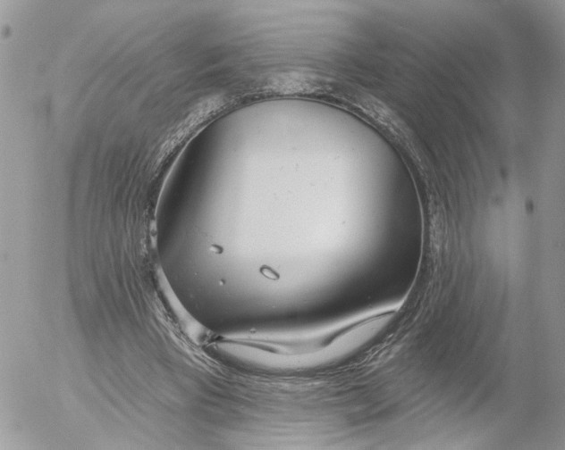 X0000052540393200507221431