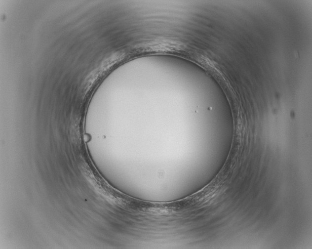 X0000052540394200507221431