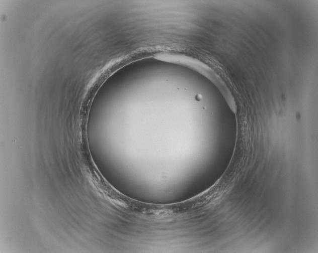 X0000052540395200507221431