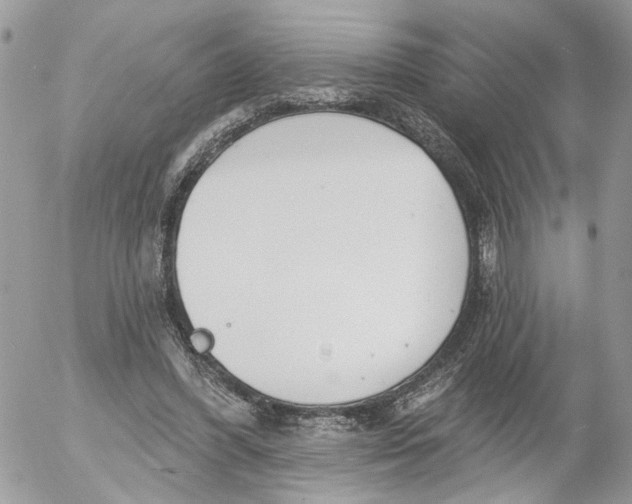 X0000052540396200507221431