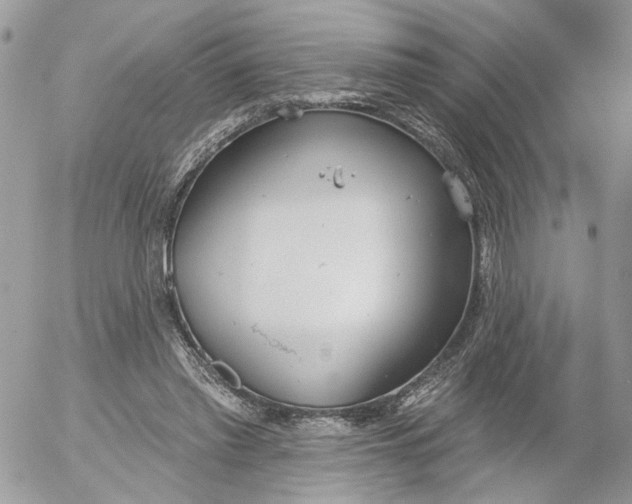 X0000052540397200507221431