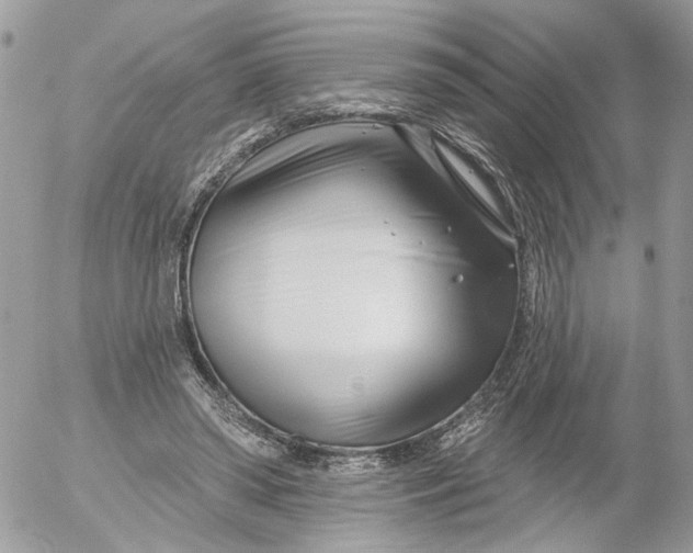 X0000052540398200507221431