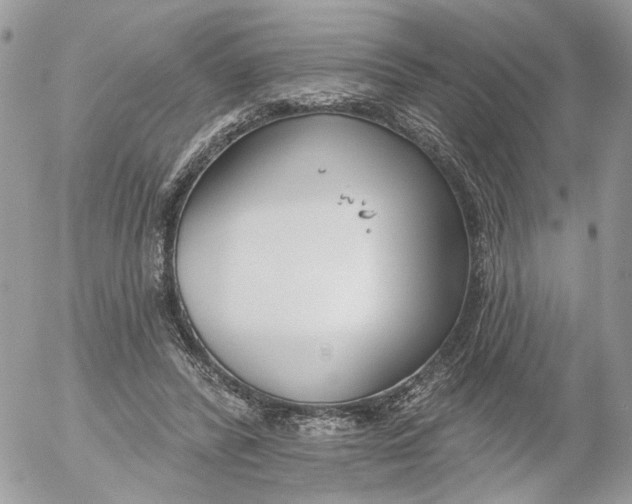 X0000052540400200507221431